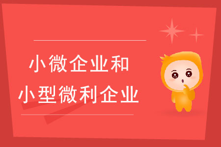 小微企業(yè)和小型微利企業(yè)有什么區(qū)別？