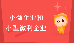 小微企業(yè)和小型微利企業(yè)有什么區(qū)別？